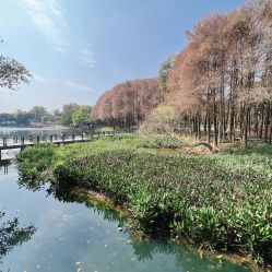 -致友月子会所(麓湖店)