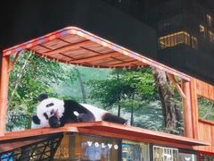 -巴蜀大将火锅(春熙店)