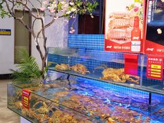 -驻海渔市(置信店)