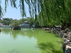 -团结湖公园
