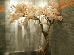 -迈格笙SPA·影院式足道·采耳(金桥店)