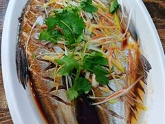 -掌勺人鱼馆(朝阳镇店)