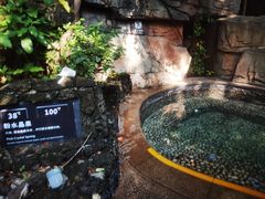 -海口观澜湖火山温泉谷