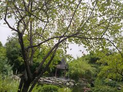 -大渡口区义渡公园