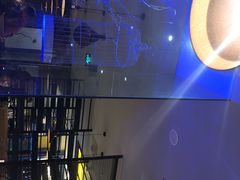 -马仕玖煲·融合菜·酥不腻烤鸭(人大店)