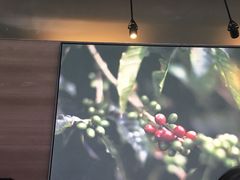 -星巴克(人民公园店)