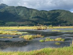 -腾冲北海湿地
