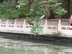 -皇家御河游(紫御湾码头)