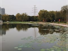 -太阳宫公园