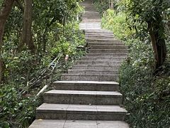 -小南山公园