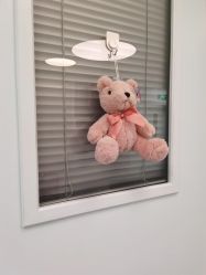 -杭州贝瑞斯美华妇儿医院·早孕·产检·儿科