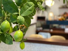 -肥朵食堂(带梦胡同店)