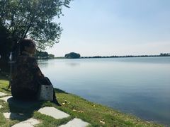-贡湖湾湿地公园