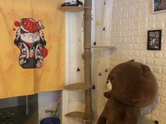-平行世界·猫咖(首经贸店)