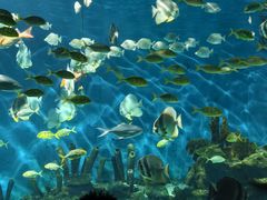 -海合安武汉极地海洋公园