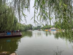 -莲湖公园