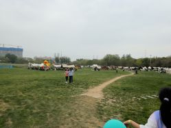 -268童话露营农场·烧烤·团建