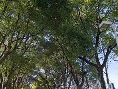 -白塘生态植物园