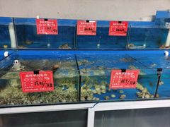水产区-顶之鲜海鲜餐厅