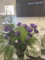 -JNK皮肤管理中心