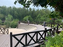 -大亚湾红树林城市湿地公园