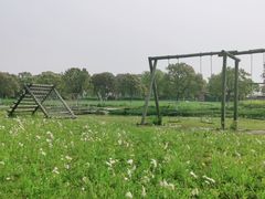 -上海都市菜园