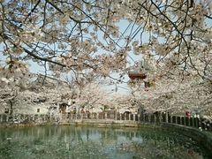 -天王寺公园