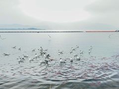-大理洱海