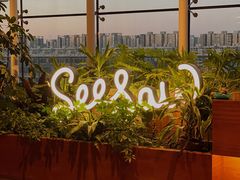 -Seesaw Coffee(朝阳大悦城店)