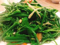 -曾家小栈