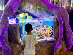 -威海华夏城景区