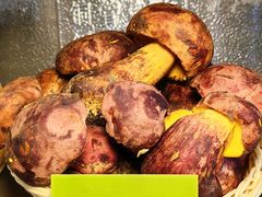 -菌海森林·非遗野生菌火锅(西山区滇池路摩根道店)