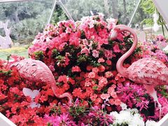 -深圳仙湖植物园-停车场