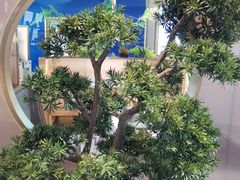 -马家斑.鲜鱼火锅(松湖万科店)