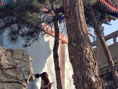 -盛世南宫影视城(北普陀影视城)