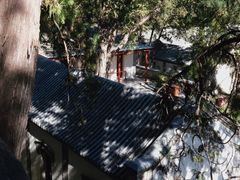 -香山公园