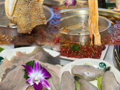 -枇杷园食为鲜火锅(南山店)
