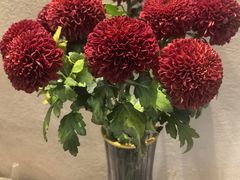 -川匠·睡眠采耳·SPA(九眼桥店)