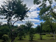 -滨河世纪广场公园