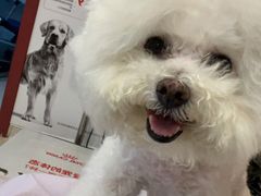 -哆趣宠物医院·眼科·内镜·急重症转诊中心(上海店)