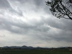 -光明小镇欢乐田园