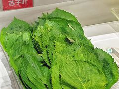-玫瑰花园自助烤肉(顺义鑫海韵通店)