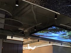 -探窝·竹笙椰子鸡(杨箕店)