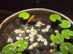 -曲水兰亭(北京四惠店)