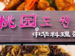 -桃园中华料理炸酱面(燕儿岛路店)