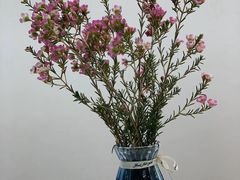 -茶百道(春晖路店)