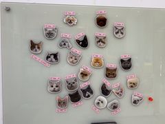 -四月宠物医院·猫专科·心脏专科·内科(转塘店)