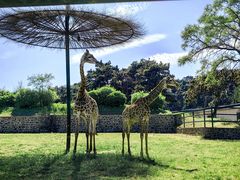 -沈阳森林动物园