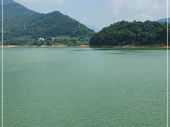 -广州市流溪河国家森林公园