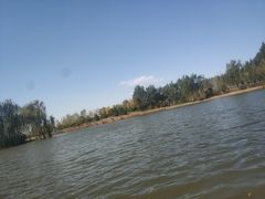 -东郊湿地公园